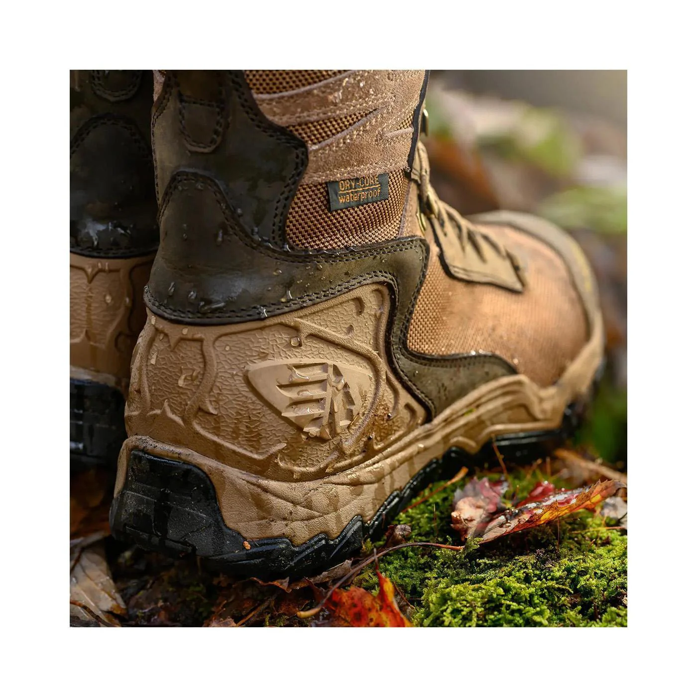 Windrose 8" Brown - Image 2