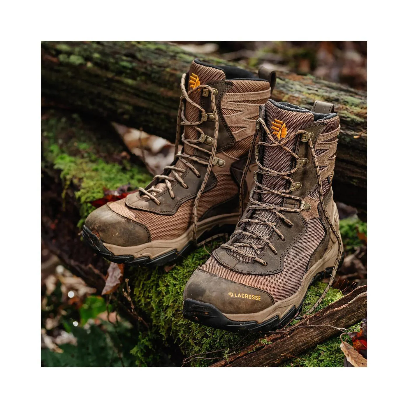 Windrose 8" Brown - Image 6